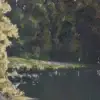 Jean Vergniol "Dans les landes", huile sur panneau mi XXe